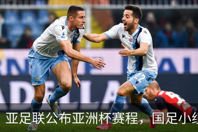亚足联公布亚洲杯赛程，国足小组赛均在黄金时间段