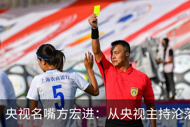 央视名嘴方宏进：从央视主持沦落到劳改犯，如今靠直播打赏讨生活