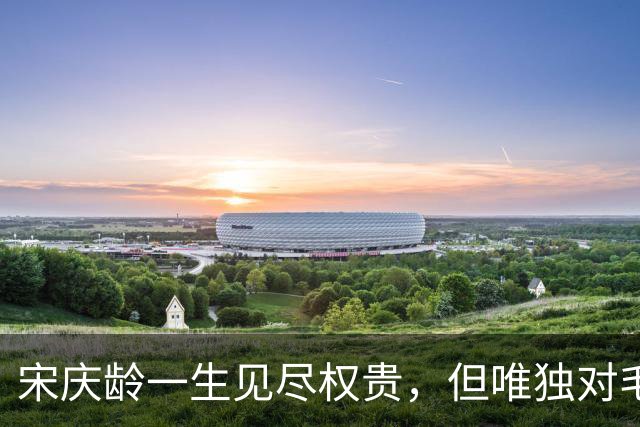 宋庆龄一生见尽权贵，但唯独对毛主席说：您是我遇见过最明智的人