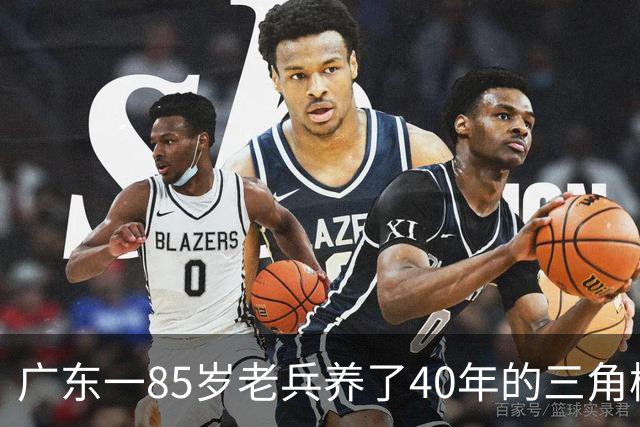 广东一85岁老兵养了40年的三角梅“火了”，开成“浪漫花屋”，网友：看哭了