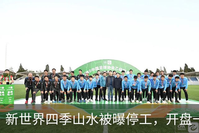 新世界四季山水被曝停工，开盘一年多网签102套