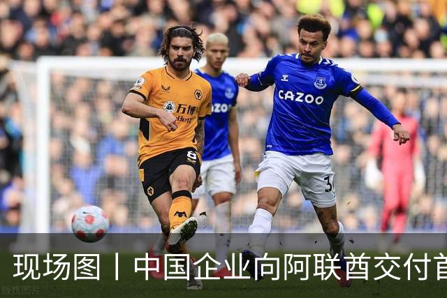 现场图丨中国企业向阿联酋交付首架飞行汽车