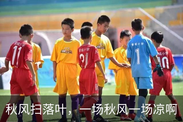 秋风扫落叶，一场秋风一场凉啊