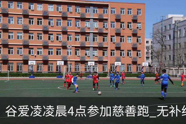 谷爱凌凌晨4点参加慈善跑 无补给创个人最好成绩